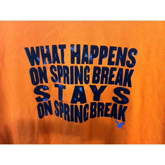 American Eagle Outfitters What Happens on Spring Break Tee Size Large - Picture 3 of 5